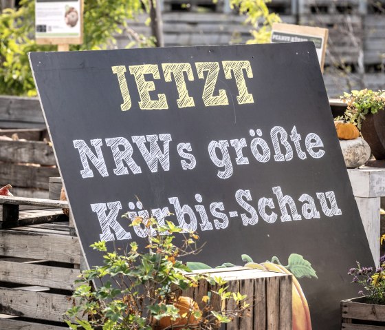 Werbeschild Kürbisschau, © Eifel Tourismus GmbH - Dominik Ketz