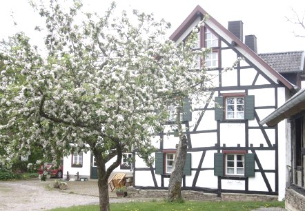 Seitenansicht, © Nordeifel Tourismus GmbH & Ferienhaus Cremer