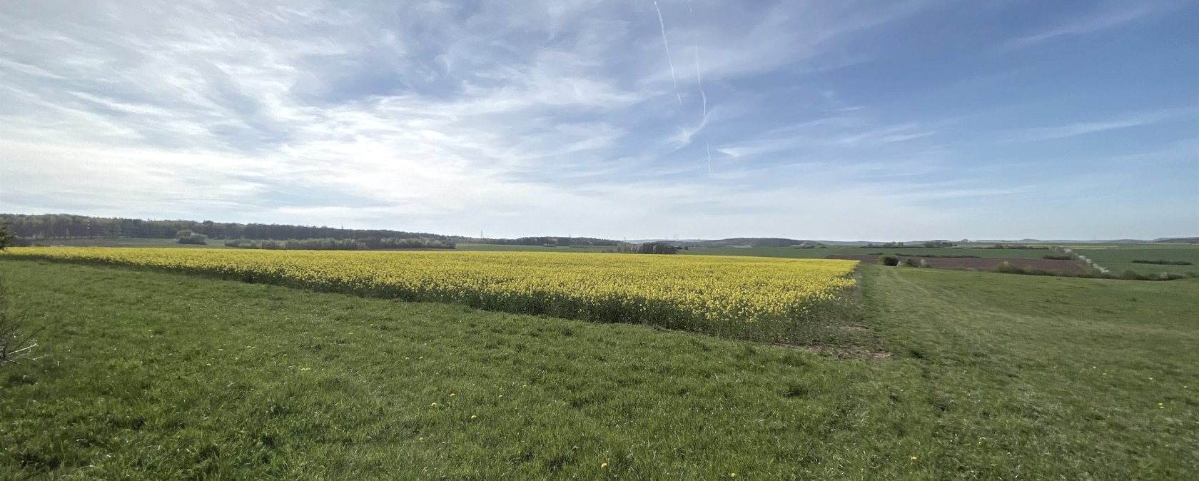Blick auf den Burgberg, &copy; Rureifel-Tourismus e.V.