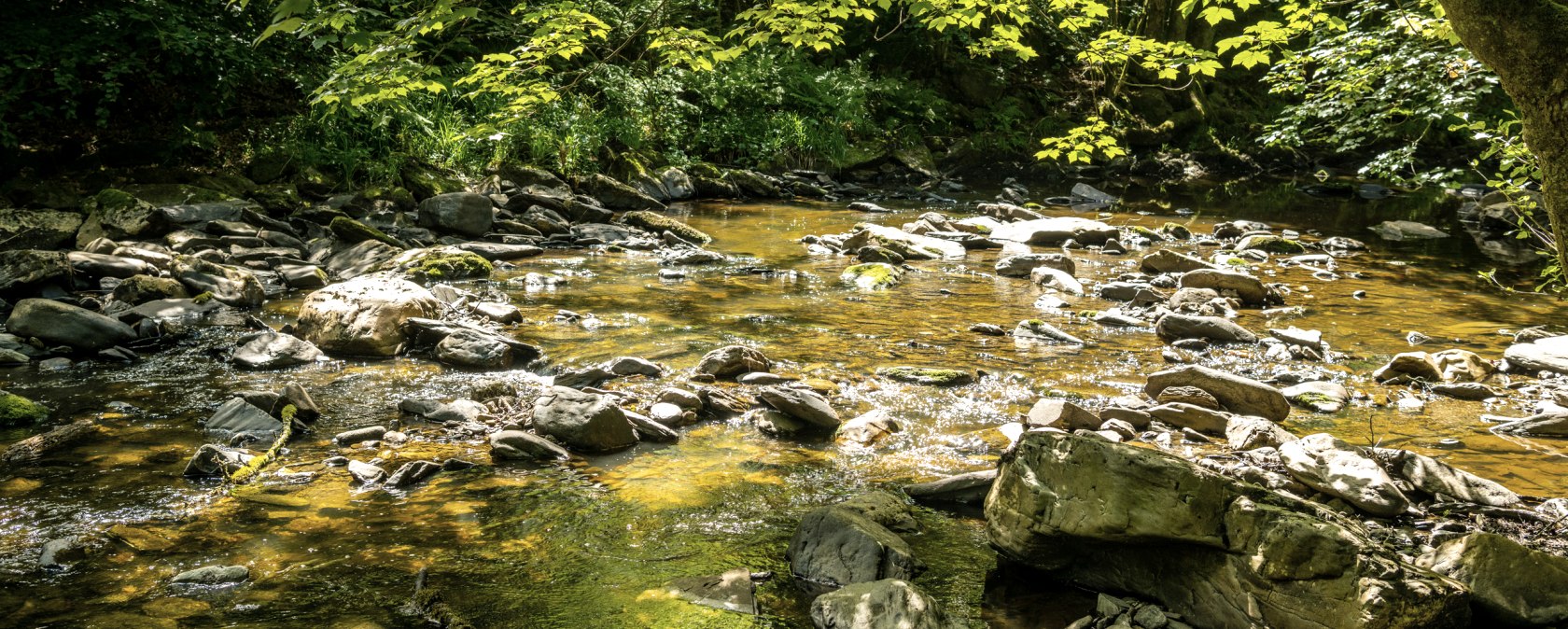 Die Rur bei Dreistegen, &copy; Eifel-Tourismus GmbH, Dominik Ketz