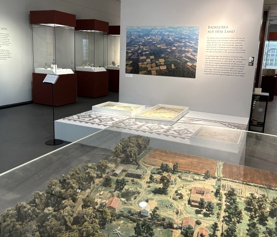 Blick in die Ausstellung, © Römerthermen Zülpich