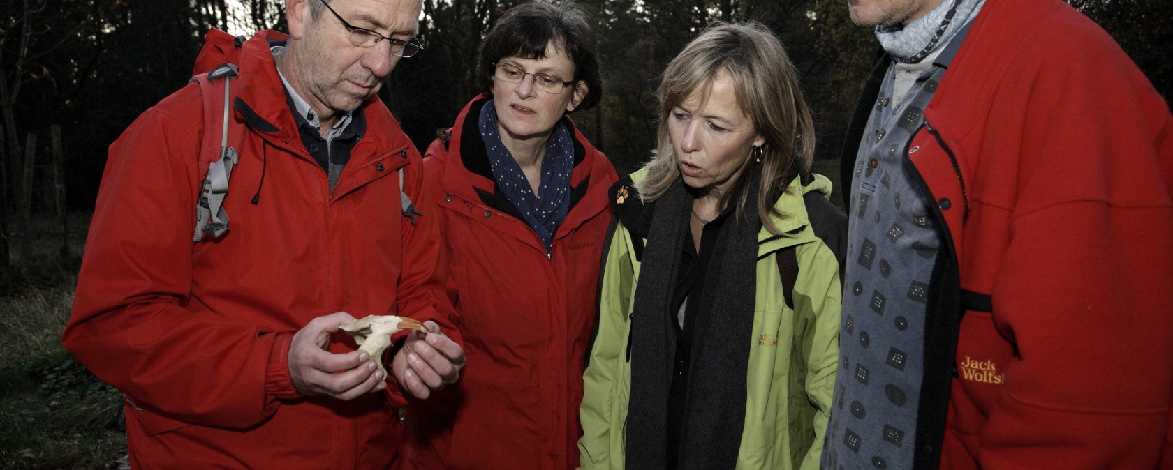 Searching for beavers at dusk, © Rureifel-Tourismus e.V._Giesen