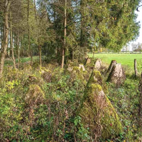 Der Westwall, © Paul Meixner