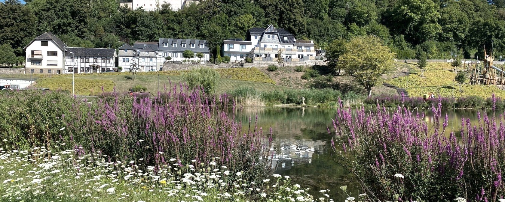 Wildkräuter am Blankenheimer Weiher, © Irmgard Löfflemann