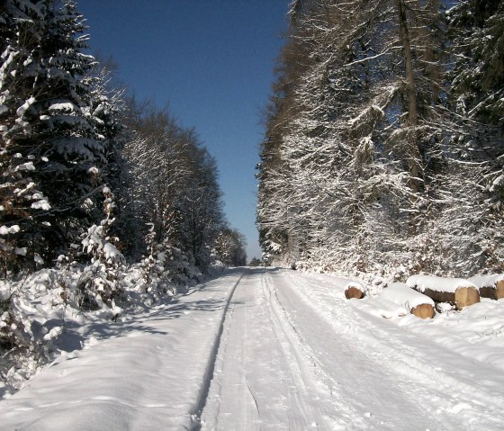 Winterbilder Skiloipen, © Nordeifel Tourismus GmbH & Haus am Hahnenberg