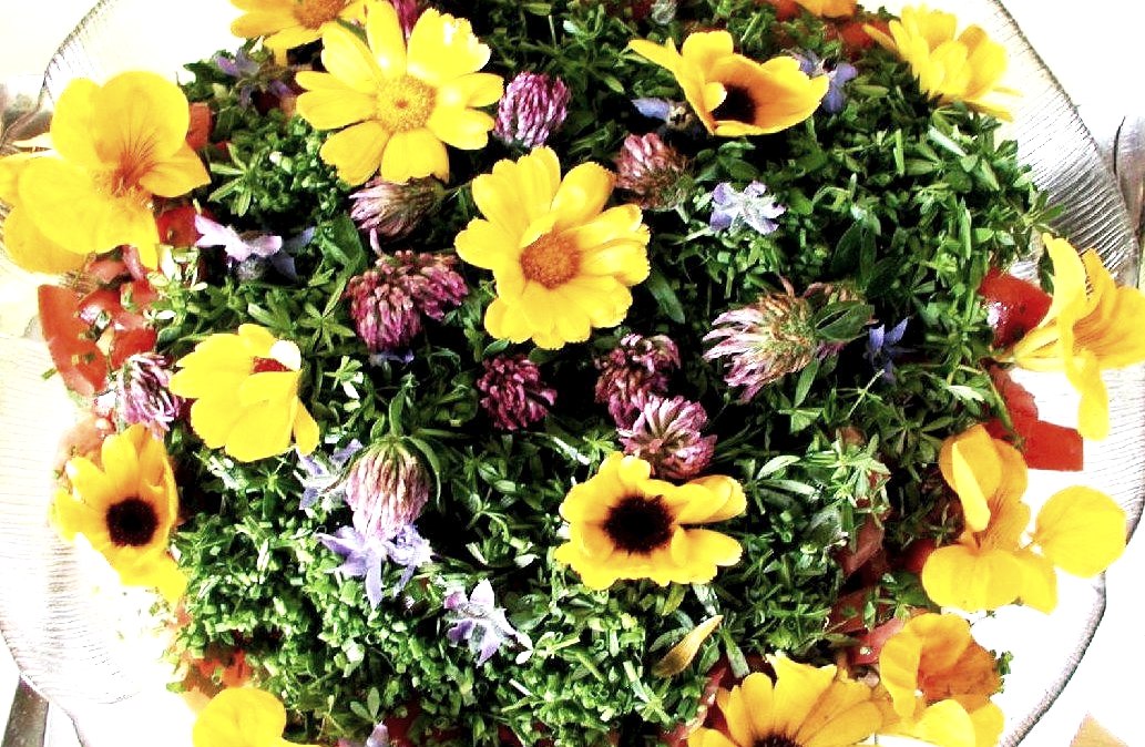 Das kleine Gelb, &copy; Eifelgemeinde Nettersheim