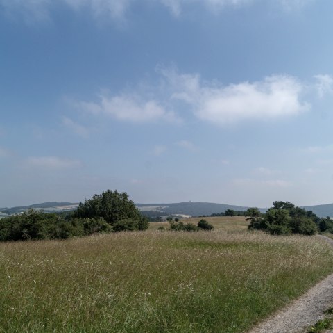 Ein schmaler Weg schl&auml;ngelt sich durch eine weite, gr&uuml;ne Wiese mit vereinzelten B&auml;umen unter einem klaren, blauen Himmel., &copy; Nordeifel Tourismus GmbH