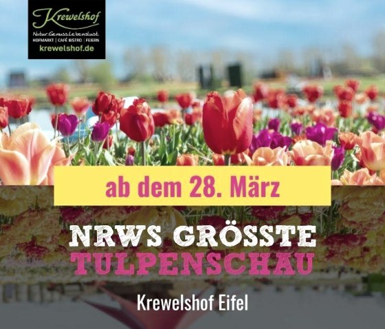 Tulpenschau, &copy; Krewelshof