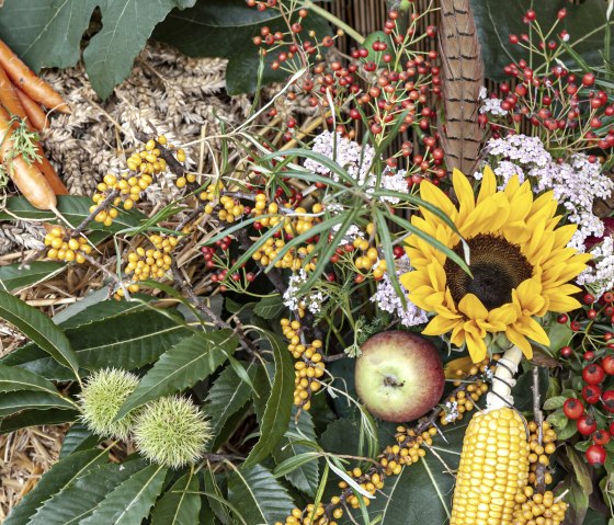 Herbstblumen, &copy; LVR-Freilichtmusuem Kommern/  Hans-Theo Gerhards