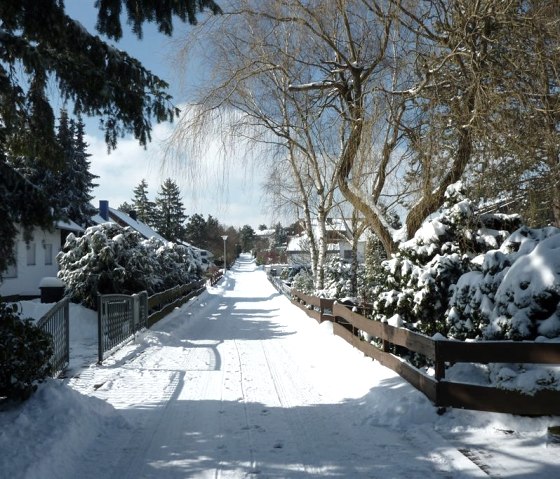 P1070616, &copy; Nordeifel Tourismus GmbH & Ferienwohnung Orchidee