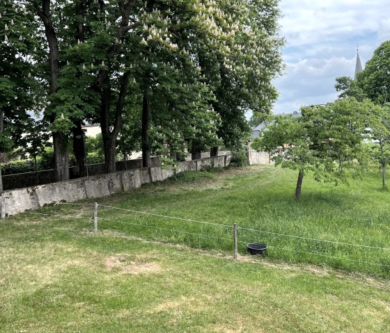 Privatgarten der Ferienwohnung, © Nordeifel Tourismus GmbH & L´Extravagante