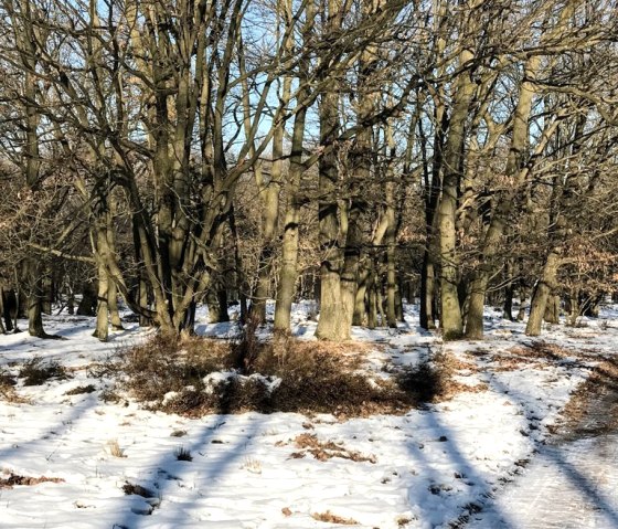 Ein wundersch&ouml;ner Wintertag