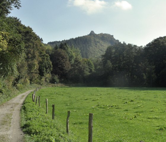 Blick auf die Burg Nideggen, &copy; Karl-Heinz Rosenzweig, Der-eifelyeti.de, &copy; Der-eifelyeti.de