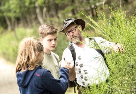 Familientour mit Waldführer