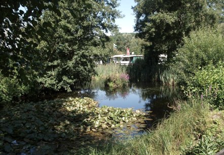 Teich am Campingplatz, &copy; Campingplatz Felsenblick
