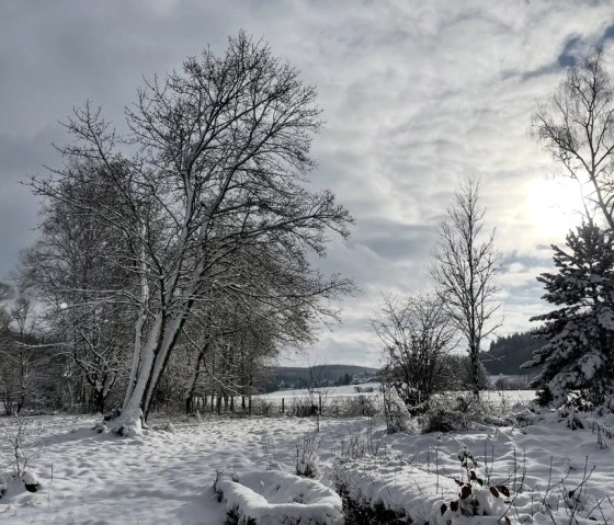 Gartenblick im Winter