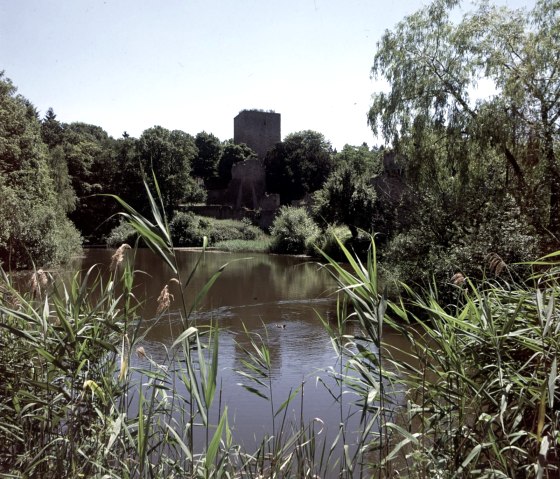 A pond with reeds in the foreground, behind it a ruined castle surrounded by trees. Clear sky in the background., © Wandermagazin/ N. Glatter