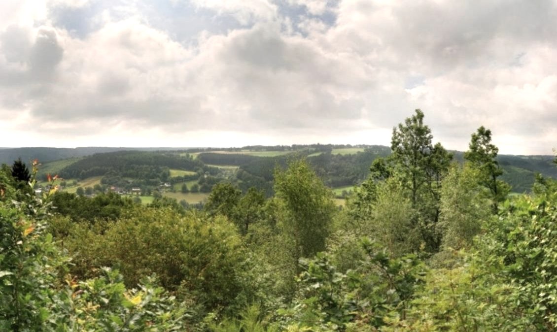 Gr&uuml;nenthal in Monschau-Imgenbroich, &copy; Naturpark Nord Eifel e.V