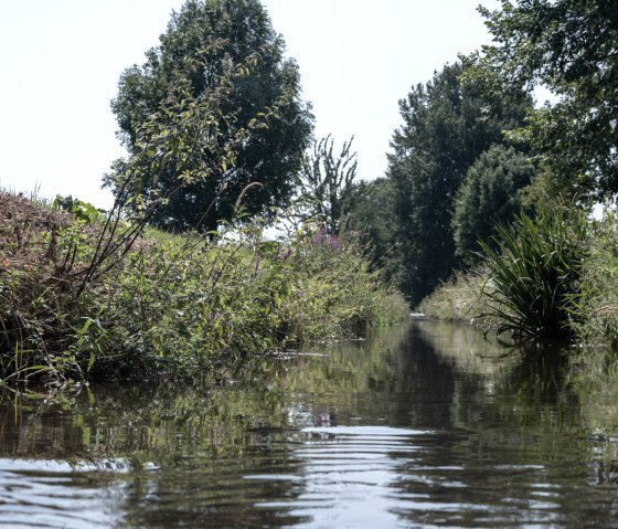 Floodplain landscape on the Swistbach, EifelSpur between Ville and Eifel, © Nordeifel Tourismus GmbH