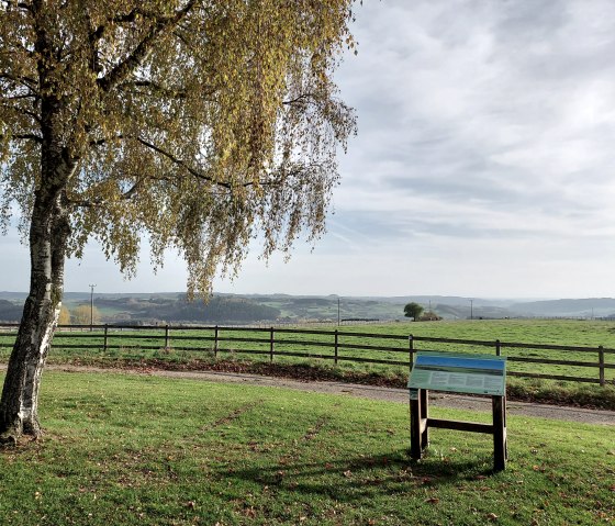 Ein Baum mit herbstlichen Blättern steht auf einer Wiese. Im Hintergrund erstreckt sich eine hügelige Landschaft. Eine Infotafel ist sichtbar., © Eifel Tourismus GmbH