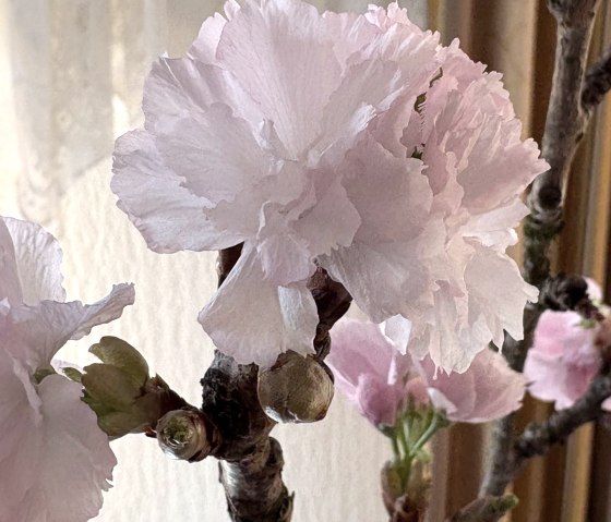 d4399fa8-5b1b-44a5-9763-1e07e75a2f08