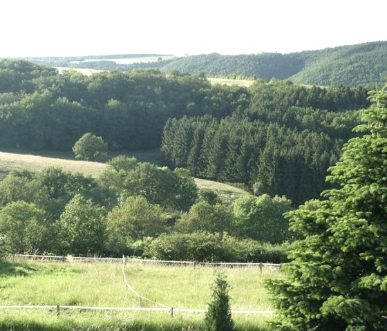 P1010691.2900, &copy; Nordeifel Tourismus GmbH & Ferienwohnung