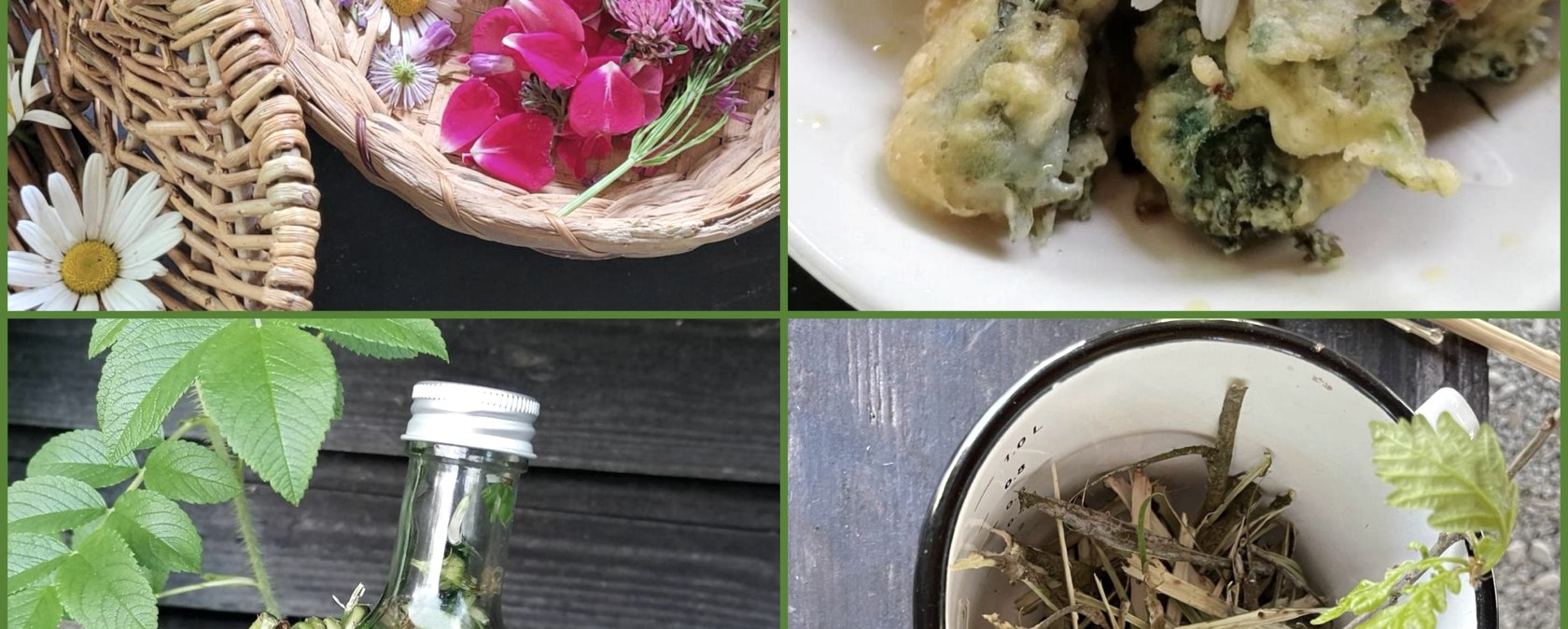 Wildkr&auml;uter intensiv, &copy; Wildnistraining.de