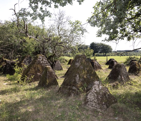 Westwall, &copy; Eifel Tourismus GmbH, T. Vollmer