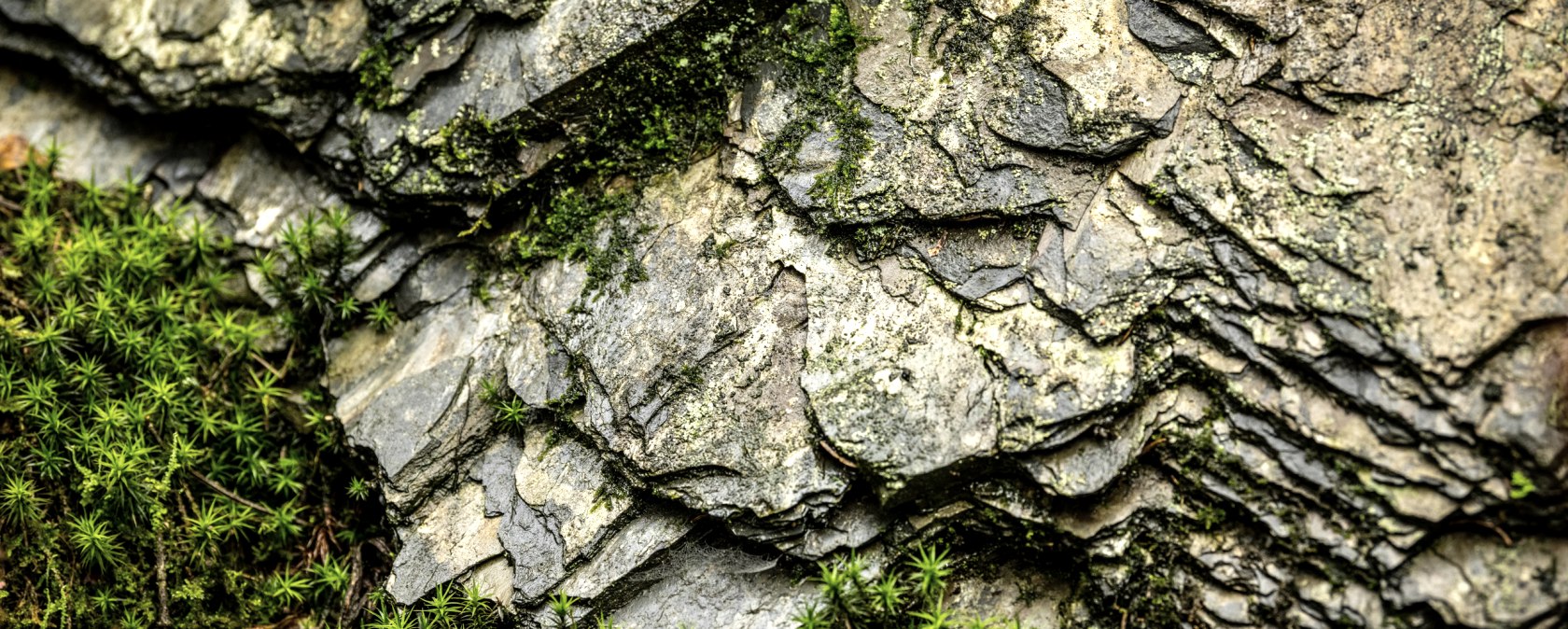 Pearl stream valley, &copy; Eifel Tourismus GmbH, Dominik Ketz