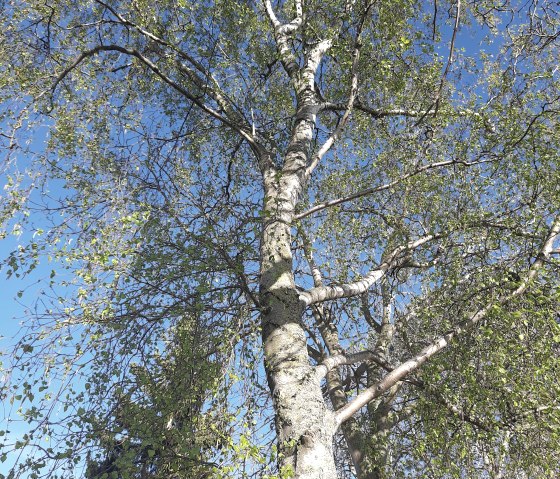 20220416_184050, &copy; Nordeifel Tourismus GmbH & FW Schwerfen