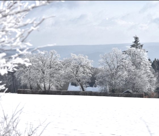 Wundersch&ouml;ne Aussichten in die Schneelandschaft