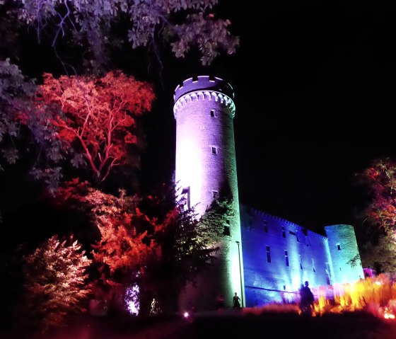 Leuchtende G&auml;rten 2, &copy; Seepark Z&uuml;lpich