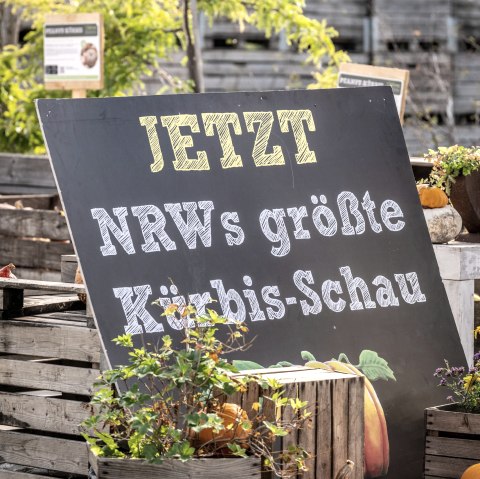 Werbeschild Kürbisschau, © Eifel Tourismus GmbH - Dominik Ketz