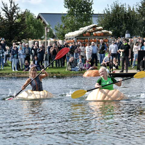 K&uuml;rbis-Regatta, &copy; Krewelshof
