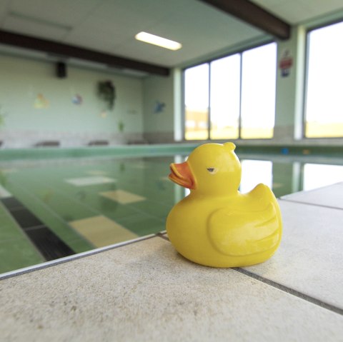 Swimming duck Swimmer's pool, © Gemeinde Simmerath