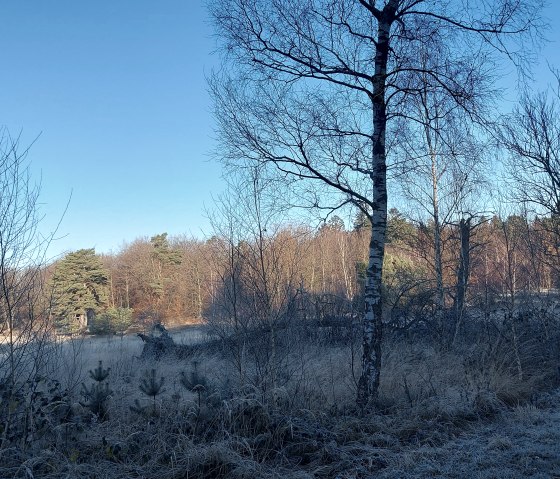 Morgenglanz Frost Schlangenberg Dezember-Februar (