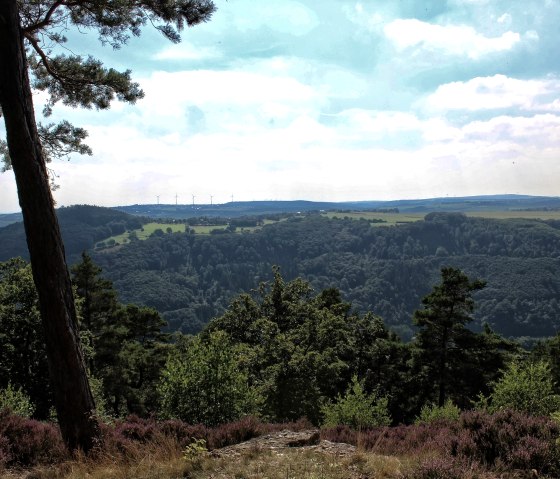 Blick ins Tal, &copy; Rureifel-Tourismus e.V.