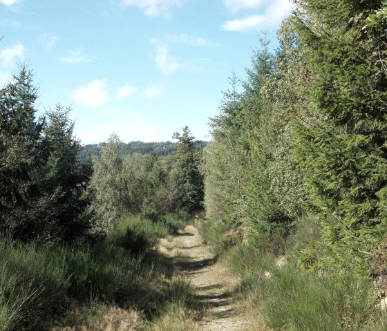 Wanderpfad, © Eifel heimisch