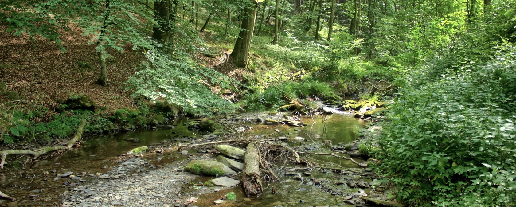 Wüstebach