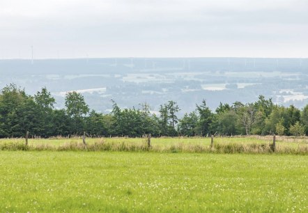 Aussicht vom Eifel-Blick Steling, &copy; Eifel Tourismus GmbH, AR-shapefruit AG