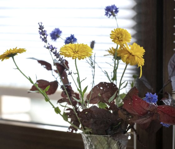 Ferienwohnung-Schavener-Heide-Kueche-Detail, &copy; Nordeifel Tourismus GmbH & Ferienwohnung Schavener Heide