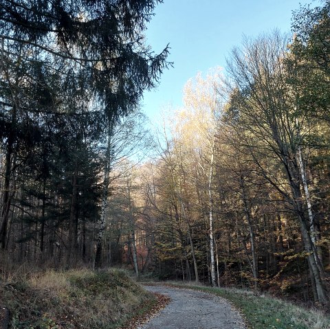 Novemberstimmung (co) Theißen-Braun