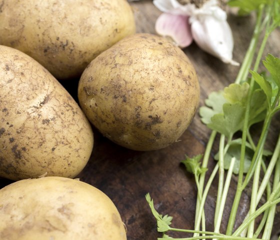 Kartoffelfest, &copy; Freepik