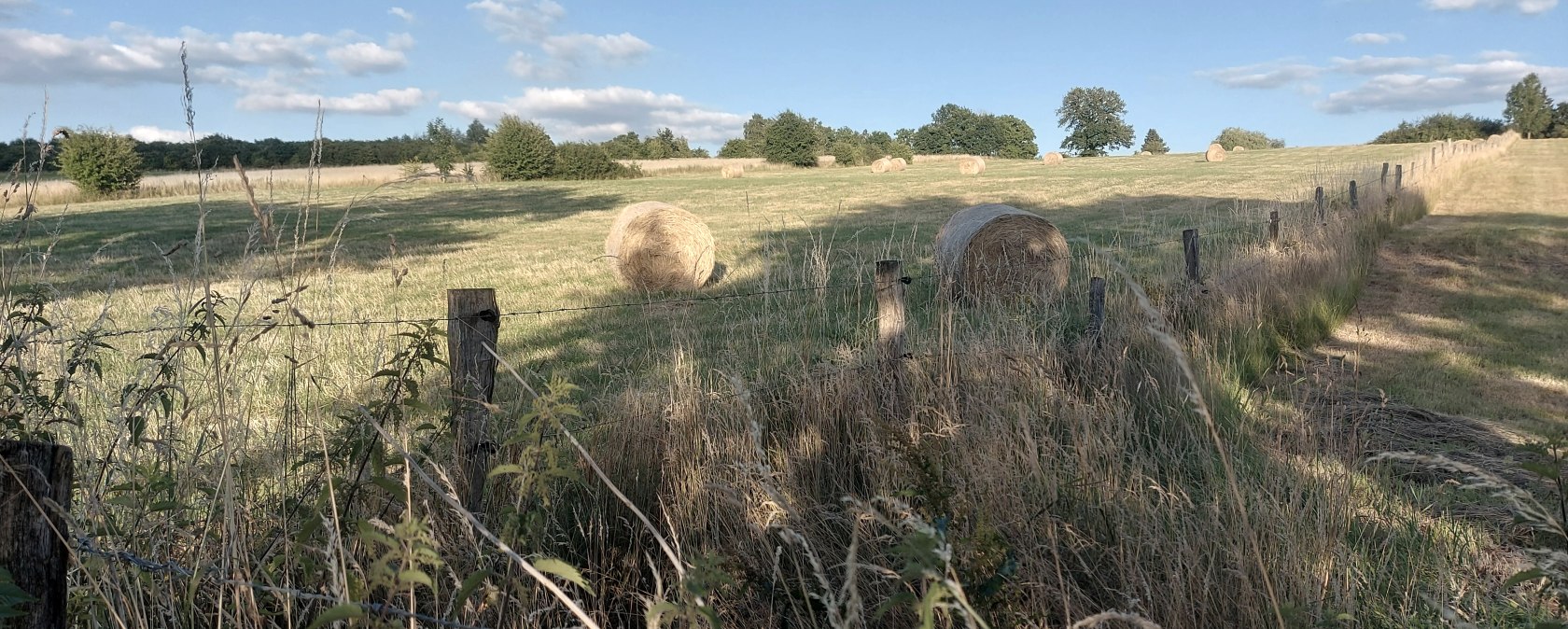 Heuballen Sommerhimmel (co) Thei&szlig;en-Braun