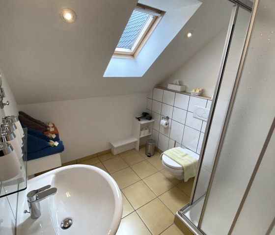 Bathroom Premium-DZ