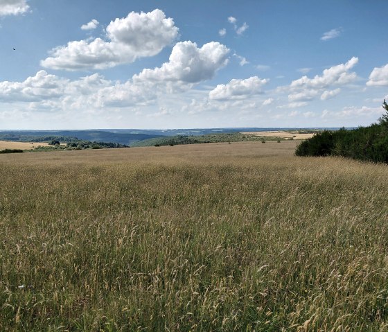 Nationalpark Eifel