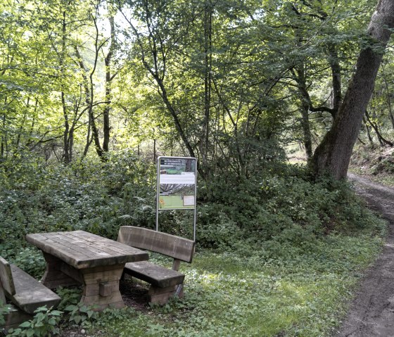 Rest area in the forest with wooden table and benches, next to an information sign. A forest path leads along to the right, surrounded by dense greenery., &copy; Nordeifel Tourismus