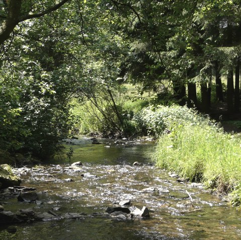 Laufenbach, &copy; Monschau-Touristik