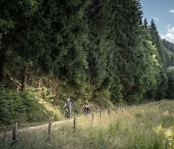 Zwei Radfahrer fahren auf einem schmalen Waldweg im Prethbachtal. Dichte, gr&uuml;ne B&auml;ume und eine sonnige Wiese umgeben den Pfad., &copy; Eifel Tourismus GmbH, Dennis Stratmann
