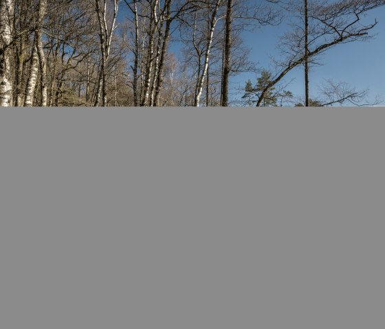 Wanderung, &copy; St&auml;dteregion Aachen, Dominik Ketz